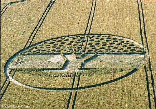 круги на хлебных полях
